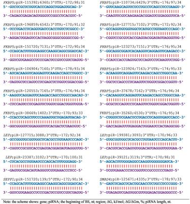 piRNAs may regulate expression of candidate genes of esophageal adenocarcinoma